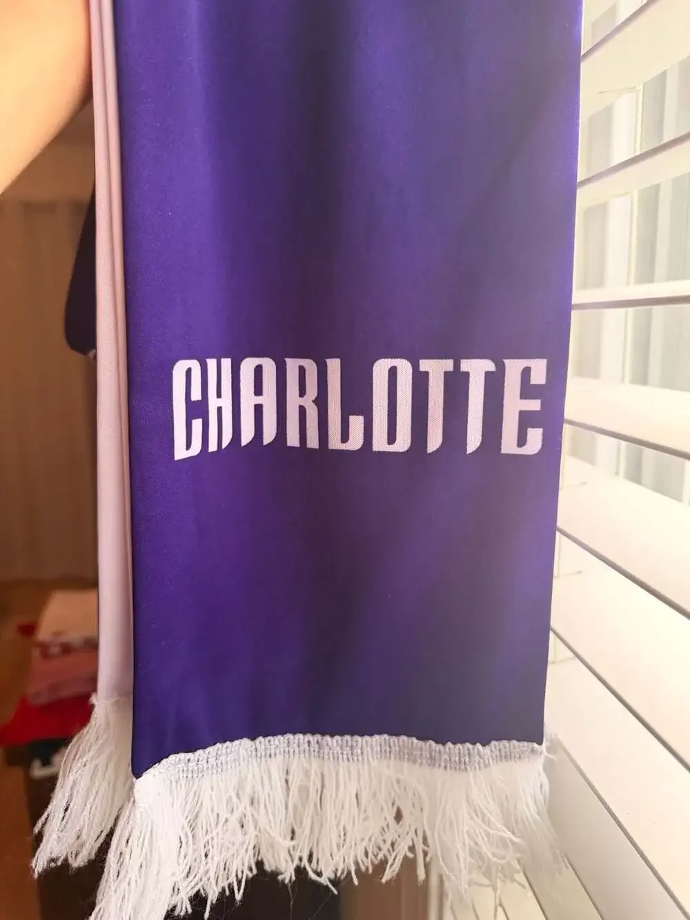 Charlotte Hornets Buzz City NBA Fan Scarf